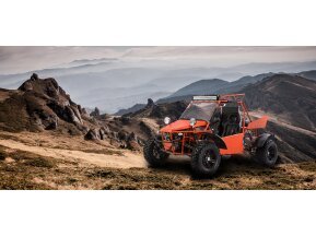 New 2020 BMS V-Twin Buggy 800